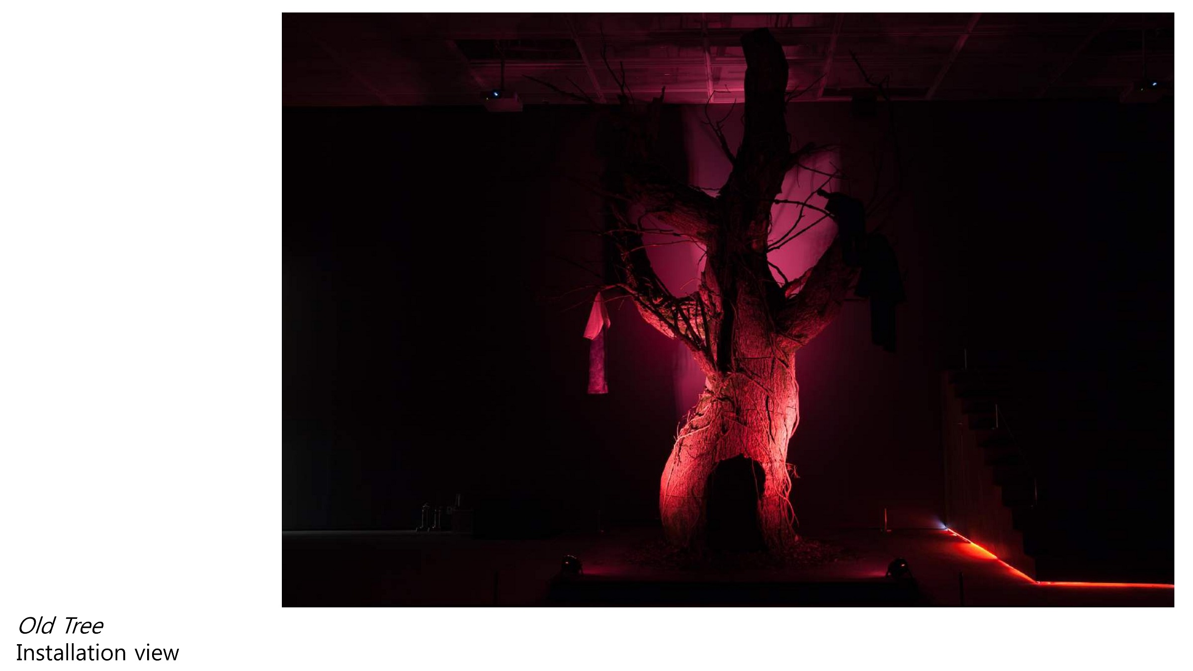 Im.installation view_13